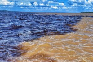 El río Negro, el más extenso en la cuenca del Amazonas, ha alcanzado su nivel más bajo en 122 años