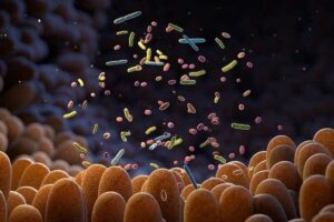 El Premio Nobel de Medicina 2024 fue concedido hoy lunes a dos científicos estadounidenses, Victor Ambros y Gary Ruvkun