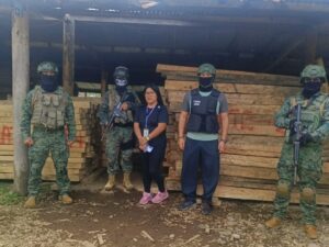 FFAAECUADOR por intermedio de la FAE realizaron el decomiso de aproximadamente 13 metros cúbicos de madera de Copal