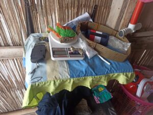Allanamiento de una vivienda ubicada en el sector de la Leónidas Proaño, del cantón Manta