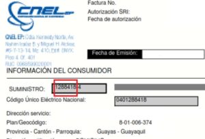 Gobierno anuncia compensación del valor de la planilla de luz