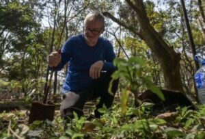 A sus 73 años, este ejecutivo retirado plantó más de 40.000 árboles