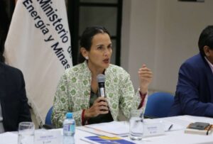 Comité de Energía Eléctrica se reunió para plantear soluciones a la crisis en el sector