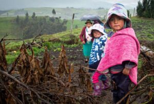 Caminatas en nueve ciudades de Ecuador para combatir la desnutrición infantil