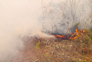 Ecuador inicia la semana con 22 incendios forestales