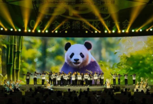 Enfoque de China: Pandas inspiran diálogo global sobre armonía entre hombre y naturaleza