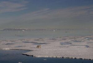 2027: Primer día sin hielo en el Ártico