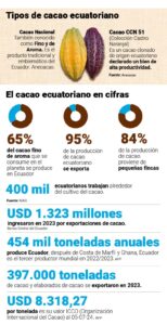 Cacao del Ecuador Profundo.🇪🇨Cifras alentadoras para Volver la mirada al Campo