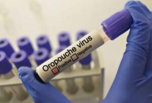 Esto es lo que se conoce sobre el virus Oropouche
