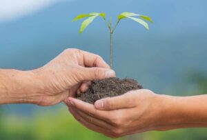 ¿Qué se espera en materia social para el 2025 en Ecuador?