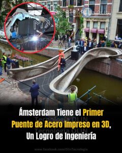 El primer puente de acero impreso en 3D del mundo