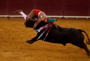 Torero portugués fallece tras ser embestido en una corrida