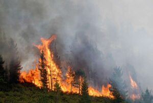 Ecuador definió los lineamientos de su propia estrategia nacional para afrontar los estragos del cambio climático.