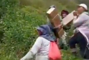 Paro en Ecuador: florícolas sacan “a pie” sus productos
