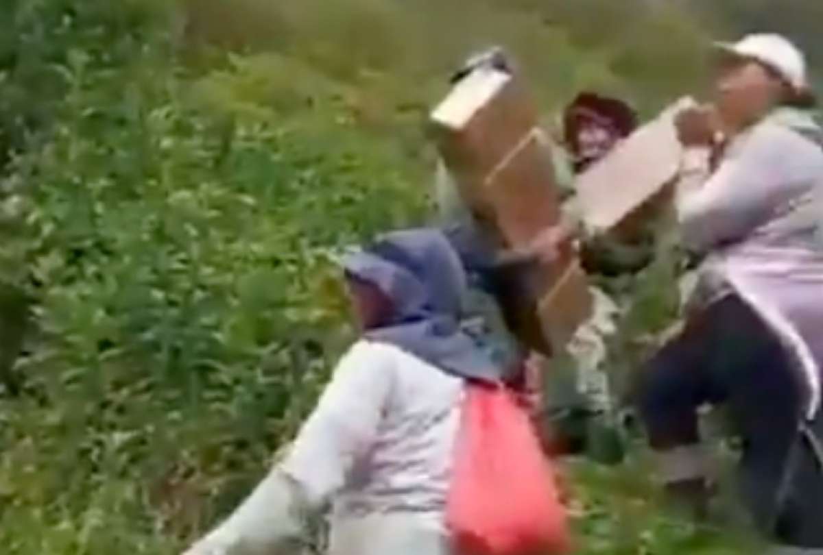 Paro en Ecuador: florícolas sacan “a pie” sus productos