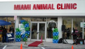 Dra. Mileydi Pérez:  La Mujer Que Nació Para Amar, Cuidar Y Sanar A Los Animales, Abre Su Nuevo Local Rodeada De Grandes Celebridades. 