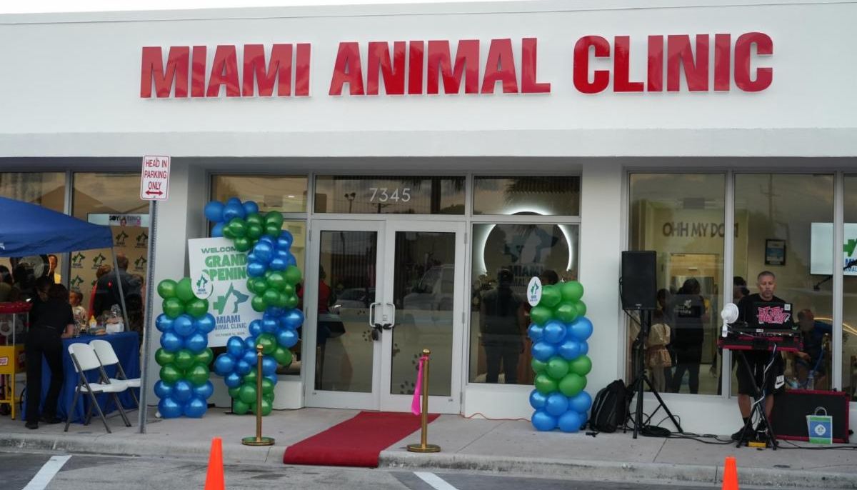 Dra. Mileydi Pérez:  La Mujer Que Nació Para Amar, Cuidar Y Sanar A Los Animales, Abre Su Nuevo Local Rodeada De Grandes Celebridades. 
