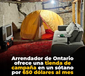 Un aviso publicado en Ontario, Canadá, generó indignación en redes
