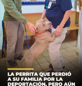 Mary nunca olvidará a su primer papá