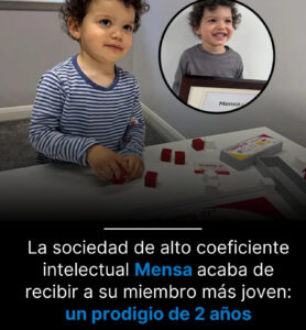 Niño de 2 años acaba de convertirse en el miembro más joven de Mensa