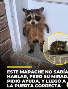 Belchertown, Massachusetts, una tormenta feroz azotaba la ciudad