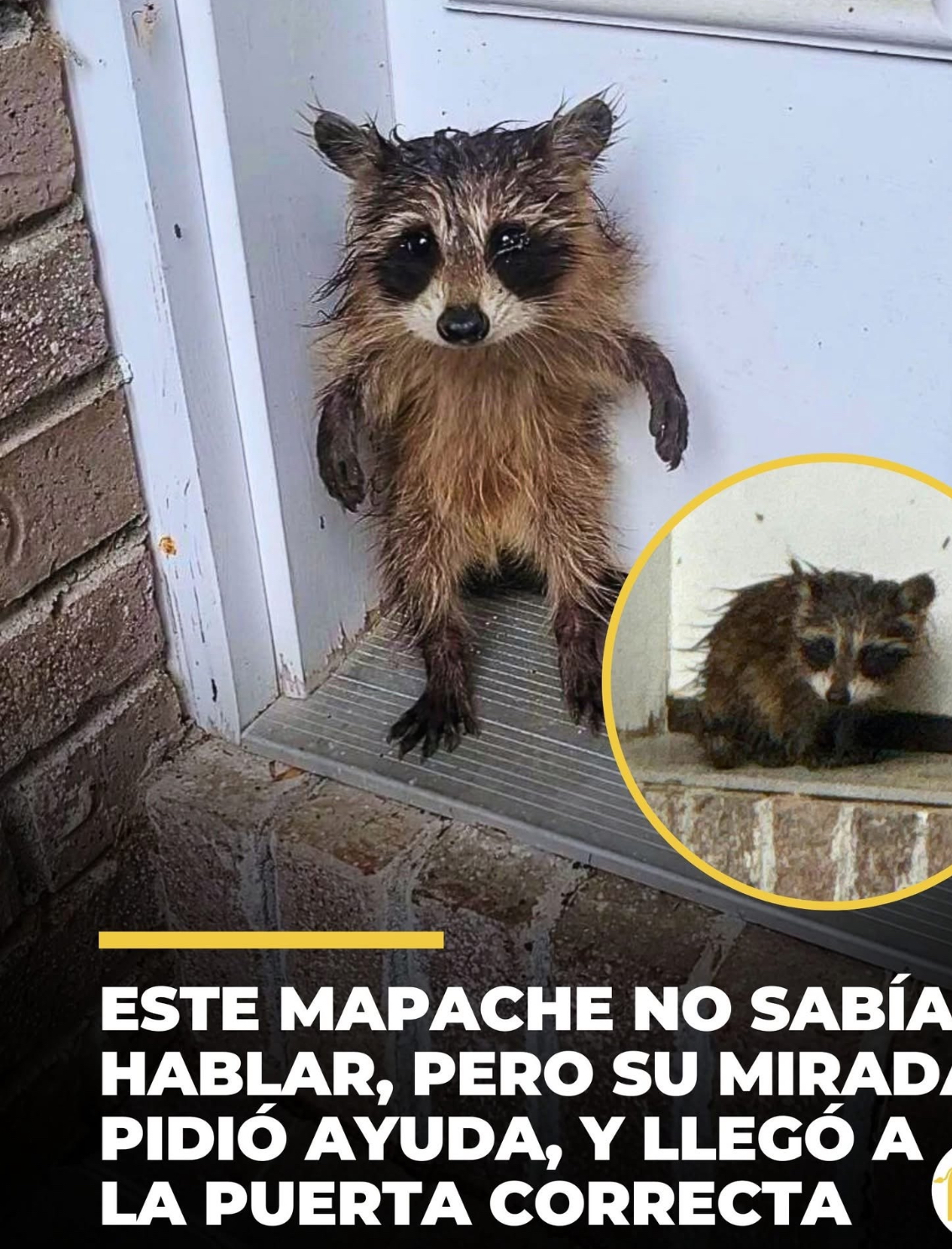 Belchertown, Massachusetts, una tormenta feroz azotaba la ciudad