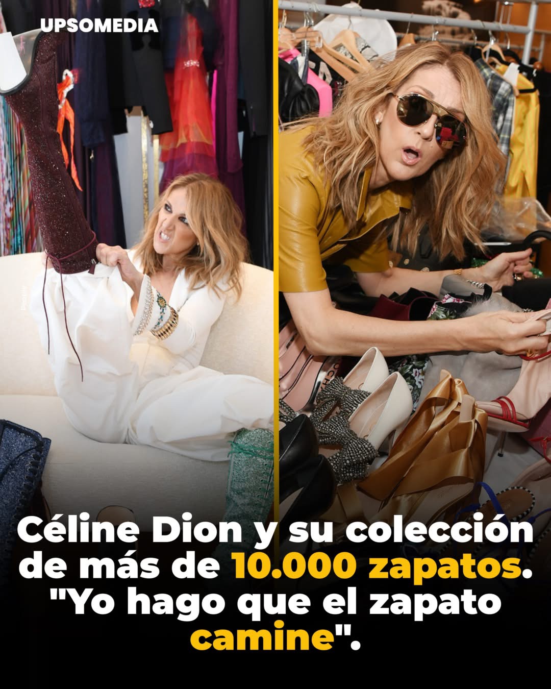 Céline Dion recordó tener más de 10.000 pares de zapatos