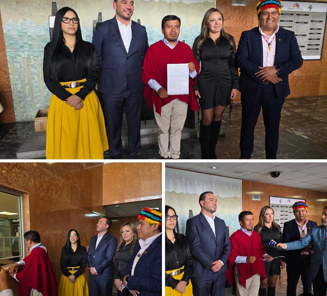 🌱📜 Por la defensa de nuestros bosques