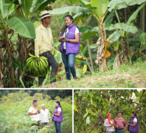 GOBIERNO DEL PRESIDENTE DANIEL NOBOA REALIZARÁ, POR PRIMERA VEZ, EL RENAGRO PARA TENER INFORMACIÓN ACTUALIZADA DEL SECTOR AGROPECUARIO