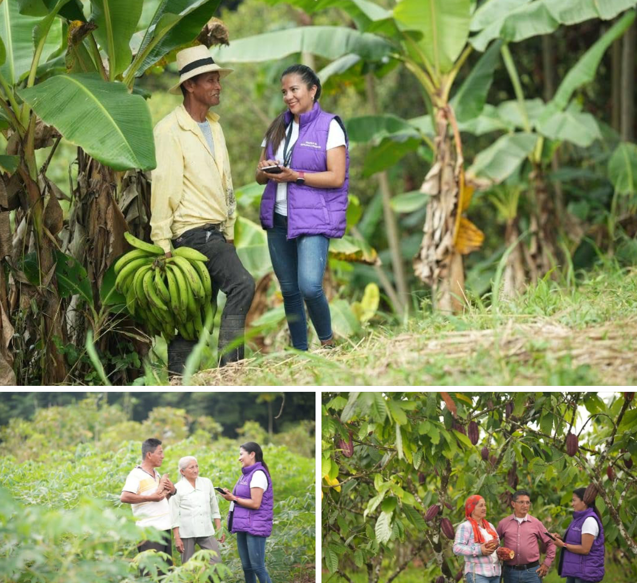 GOBIERNO DEL PRESIDENTE DANIEL NOBOA REALIZARÁ, POR PRIMERA VEZ, EL RENAGRO PARA TENER INFORMACIÓN ACTUALIZADA DEL SECTOR AGROPECUARIO