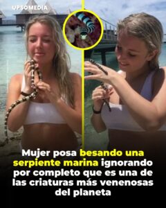 Una enfermera australiana, halló una criatura “tonta y adorable” en una playa