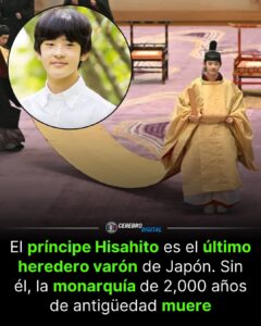 El Trono del Crisantemo enfrenta hoy una fragilidad estructural debido a las estrictas leyes de sucesión