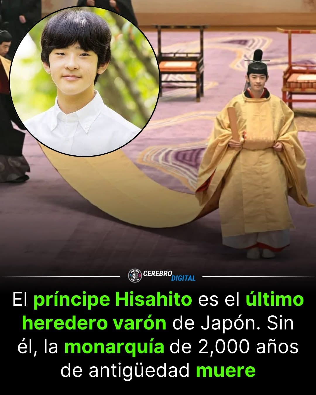 El Trono del Crisantemo enfrenta hoy una fragilidad estructural debido a las estrictas leyes de sucesión