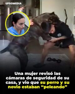 Su pareja estaba en plena sesión de “lucha libre” con su perro Koda