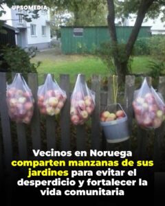 En Noruega los árboles frutales de jardines y patios producen más manzanas de las que una familia puede aprovechar, muchos vecinos optan por invitar a otros a recogerlas