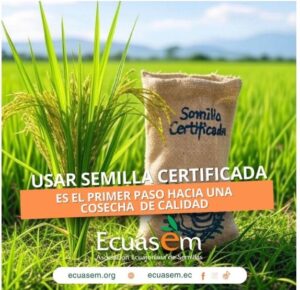 El Ministerio de Agricultura, Ganadería y Pesca implementó el uso obligatorio de marbete seguro para 14 semillas en Ecuador