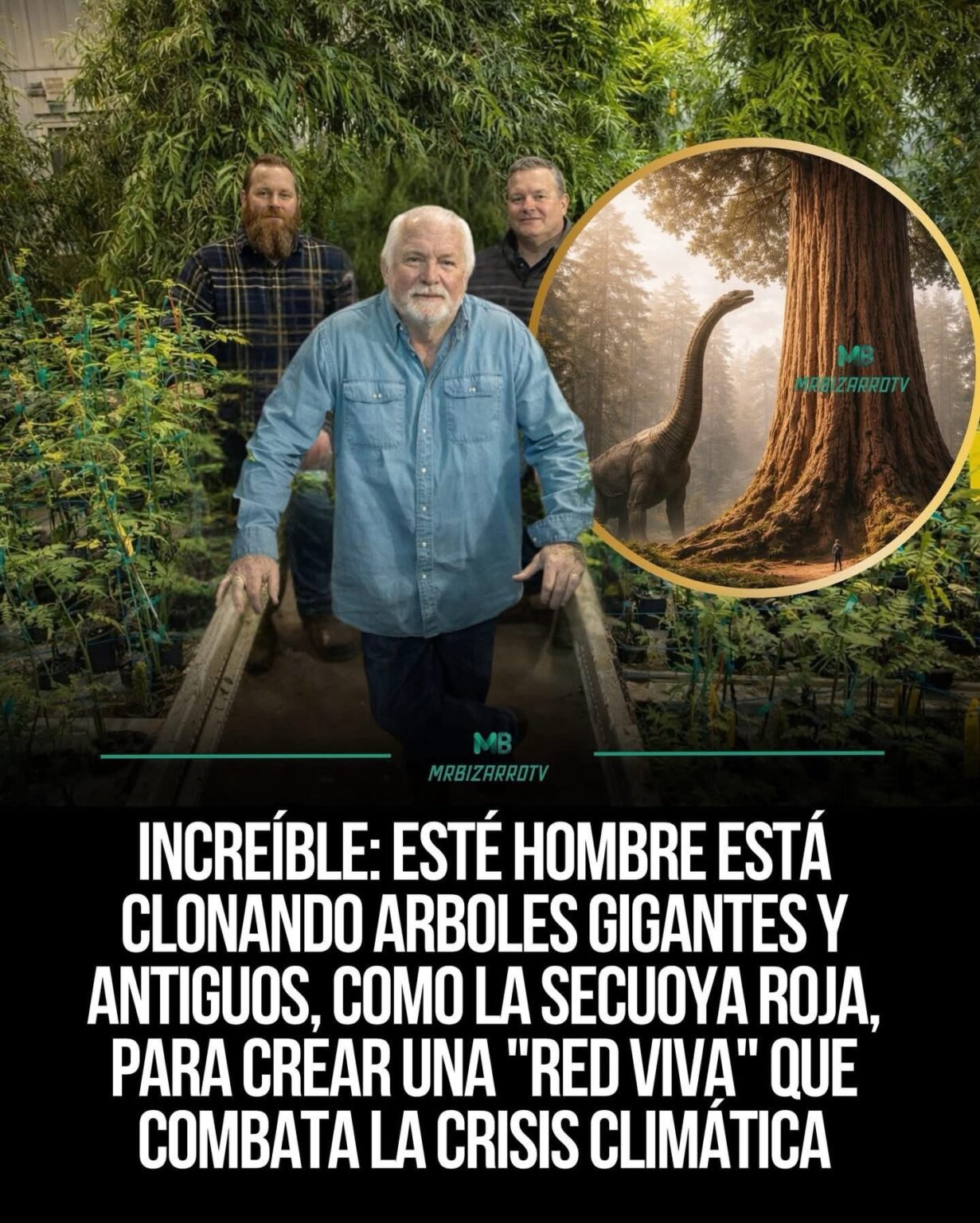 🌳 EL HOMBRE QUE CLONA ÁRBOLES MILENARIOS PARA SALVAR EL FUTURO