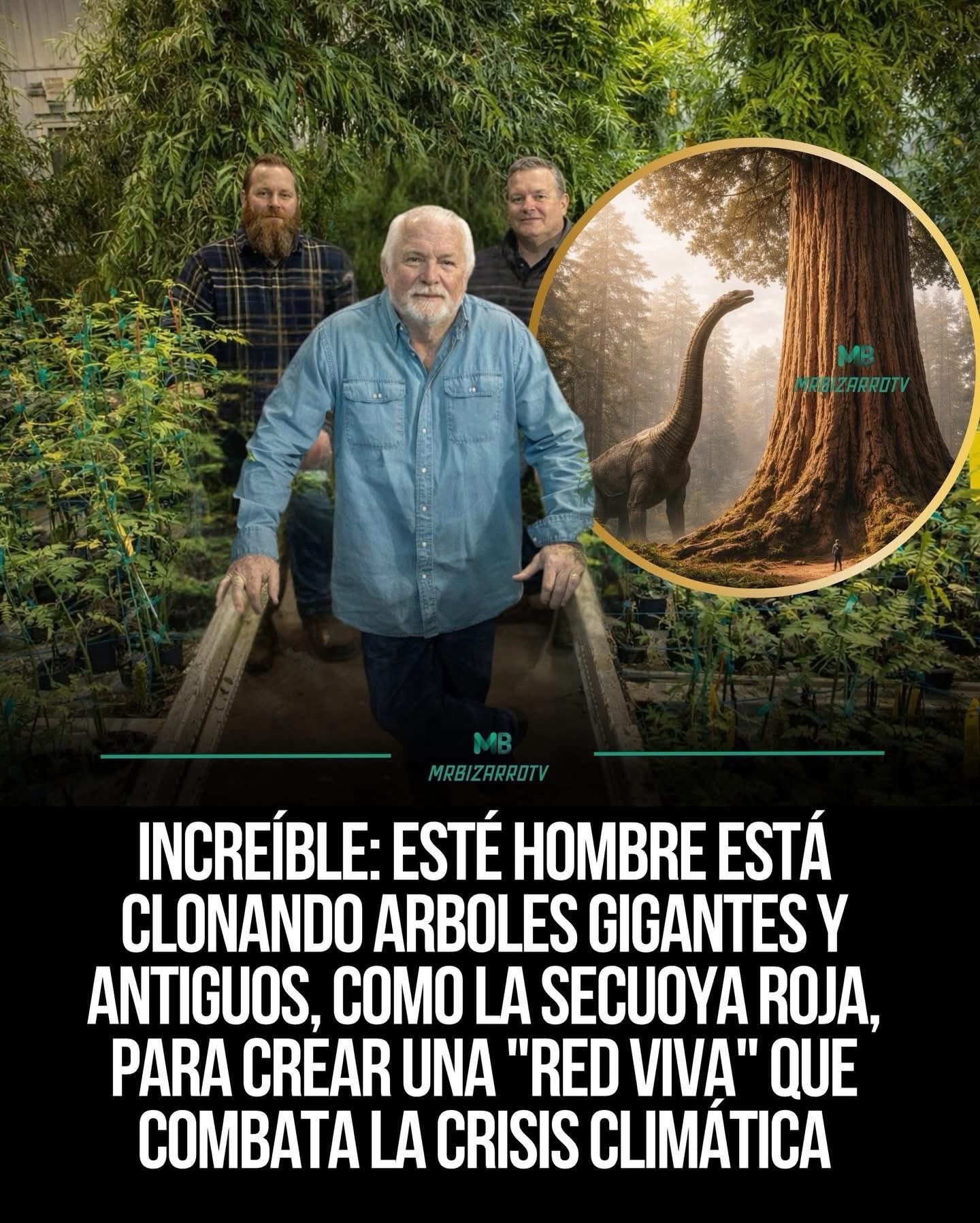 🌳 EL HOMBRE QUE CLONA ÁRBOLES MILENARIOS PARA SALVAR EL FUTURO