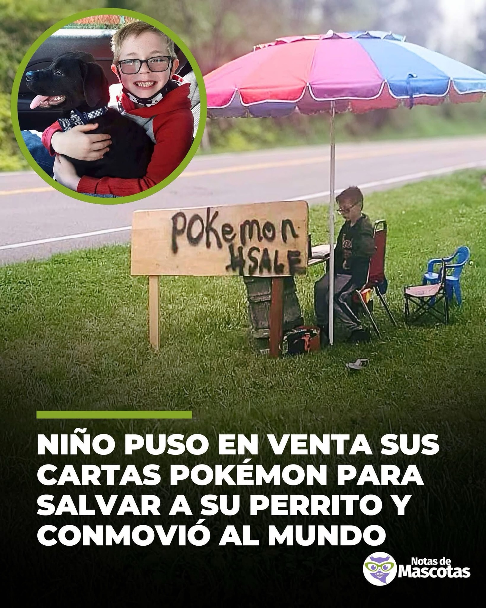 Decidió ayudar a su amigo perruno