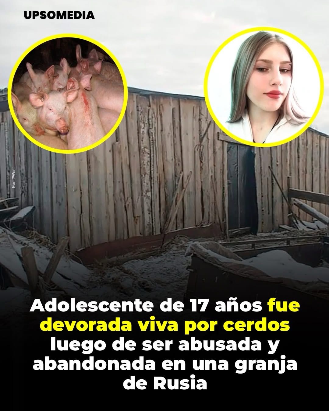 Justicia rusa condenó a Igor Zykov, de 42 años, a 23 años de prisión por el asesinato y abuso de Milena Shevelyova