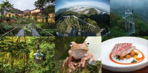 EL FERIADO DE CARNAVAL, UNA OPORTUNIDAD PARA CONOCER MASHPI LODGE, RECONOCIDO CON DOS LLAVES MICHELIN