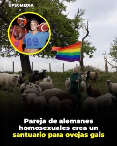 Santuario para ovejas