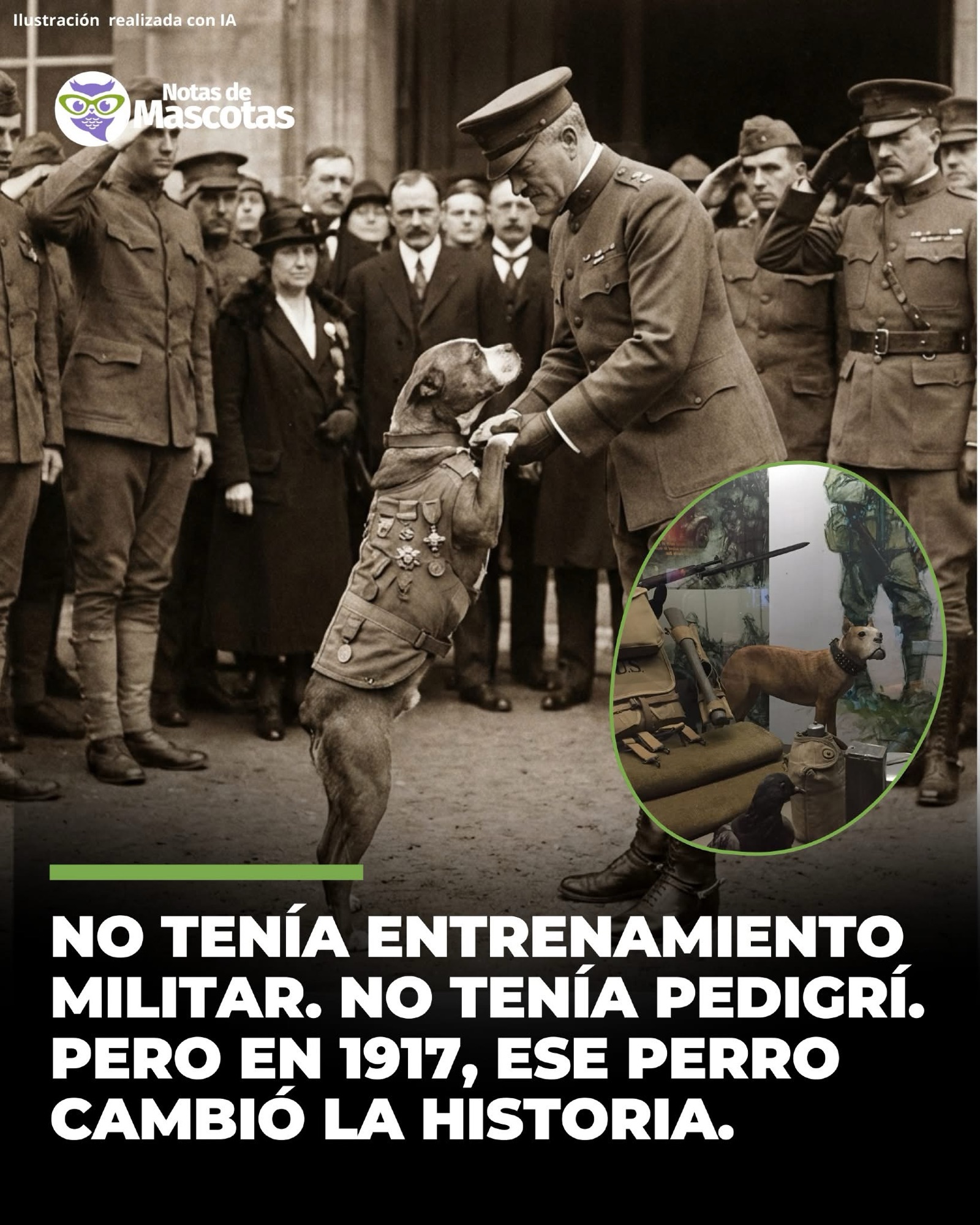 Stubby estuvo presente en múltiples combates