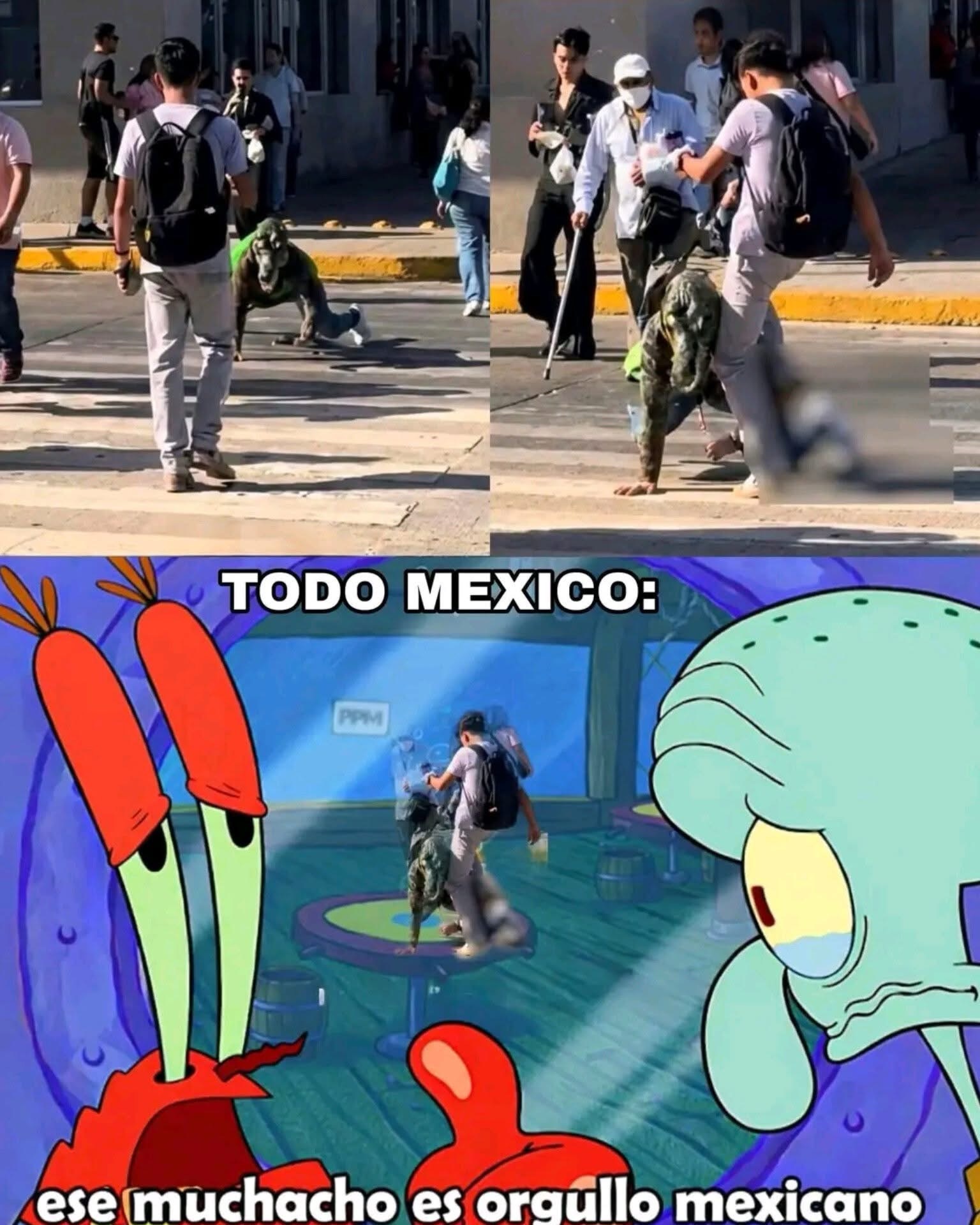 🇲🇽🥹 ES UN HEROE NACIONALJOVEN PΛTEA A UN “THERIAN COCODRILO”