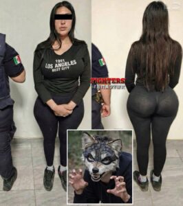 🇲🇽🥹 CAPTUᎡΛN A MUJEᎡ QUE ORGANIZABA PELEΛS CLΛNDESTlNΛS DE THERIANS.