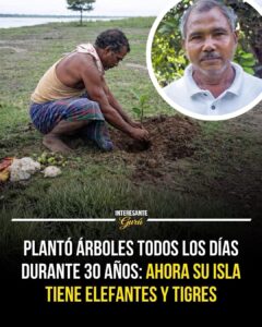 Plantó árboles todos los días durante más de 30 años para salvar una isla en el río Brahmaputra