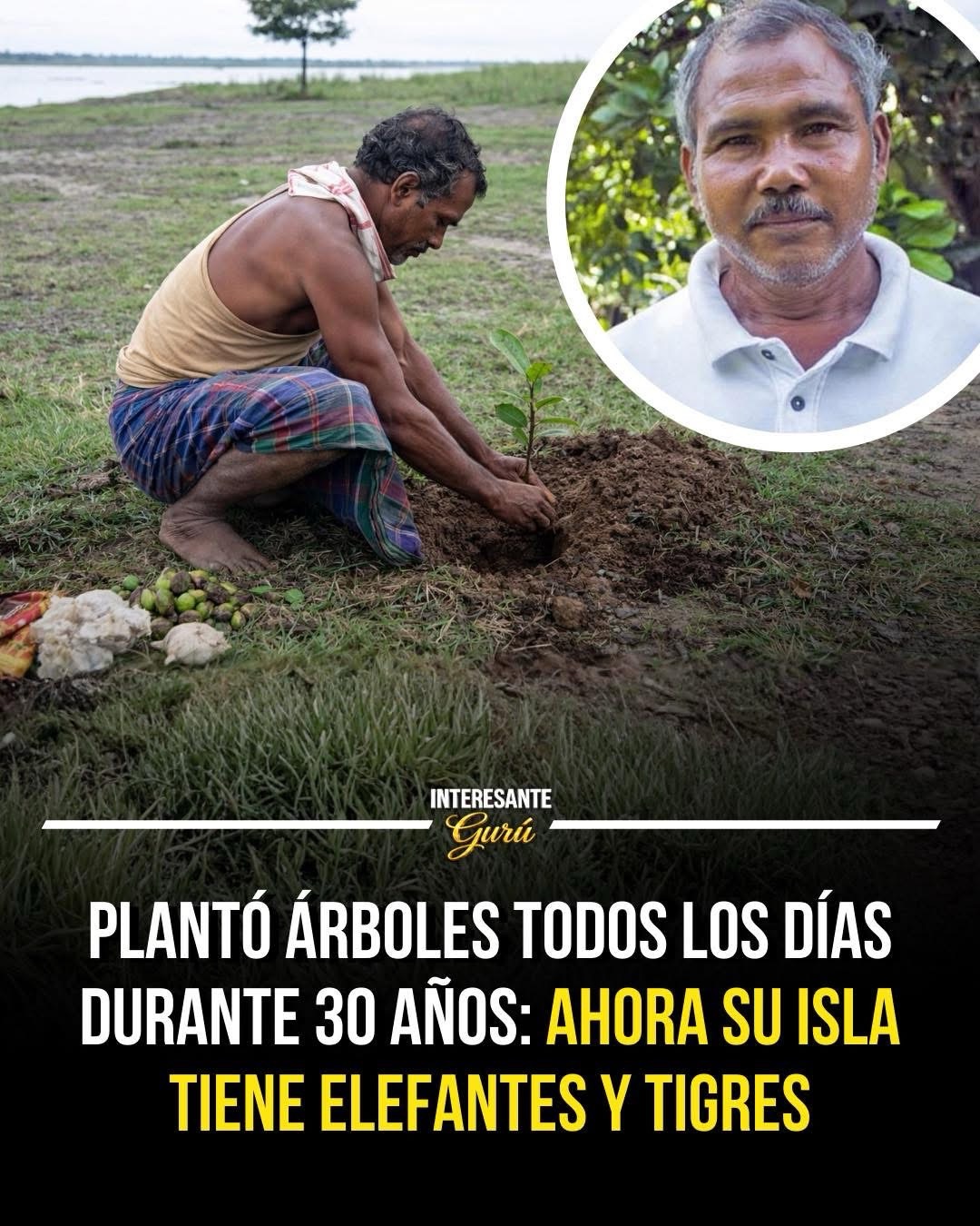 Plantó árboles todos los días durante más de 30 años para salvar una isla en el río Brahmaputra