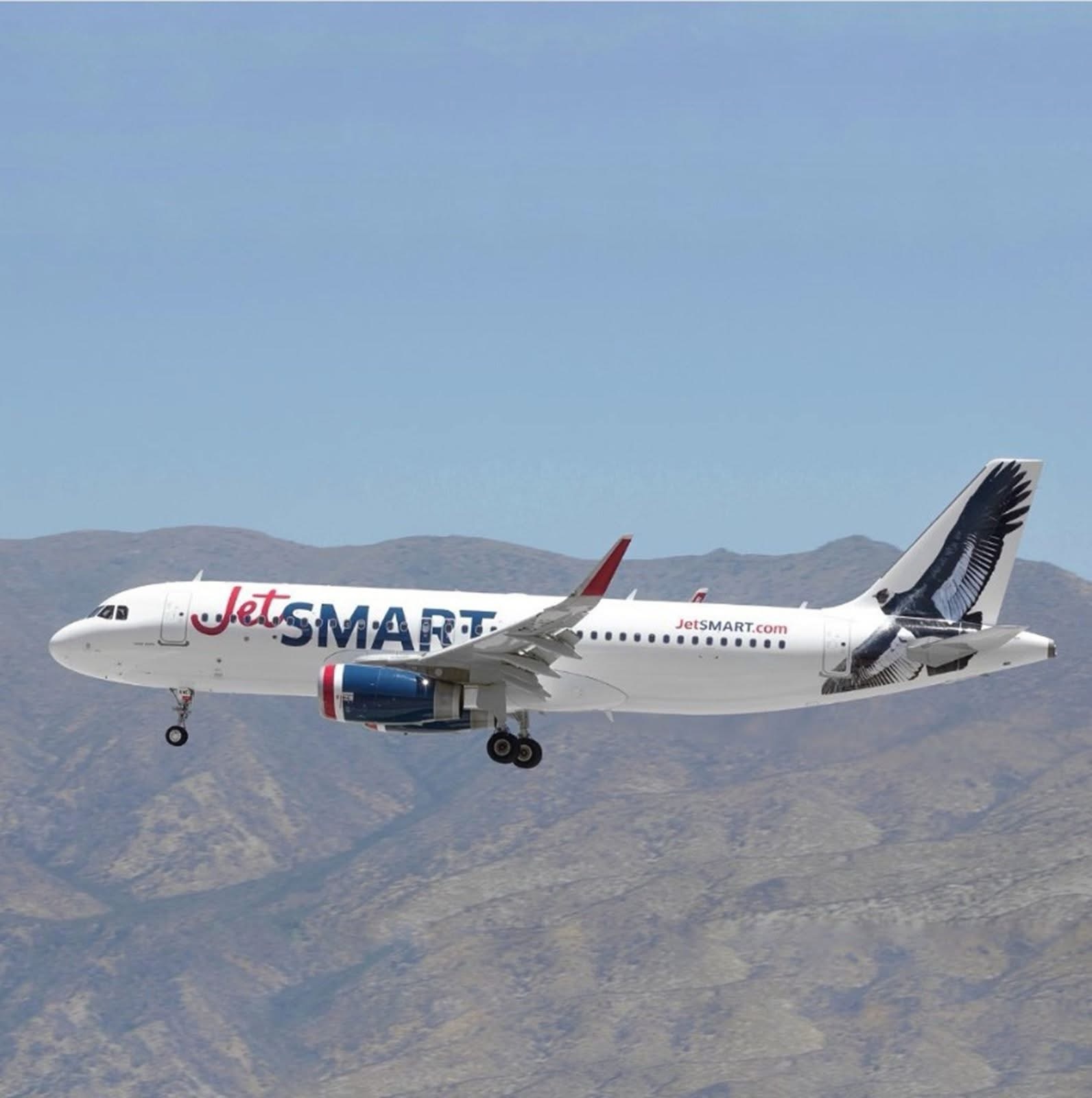 JETSMART CONVIERTE SUS AVIONES EN EMBAJADORES DE LA BIODIVERSIDAD SUDAMERICANA