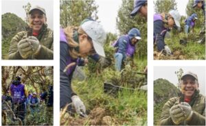 Corporación Favorita superará los 275.000 árboles sembrados para 2028