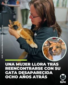 Todo comenzó con un encuentro inesperado